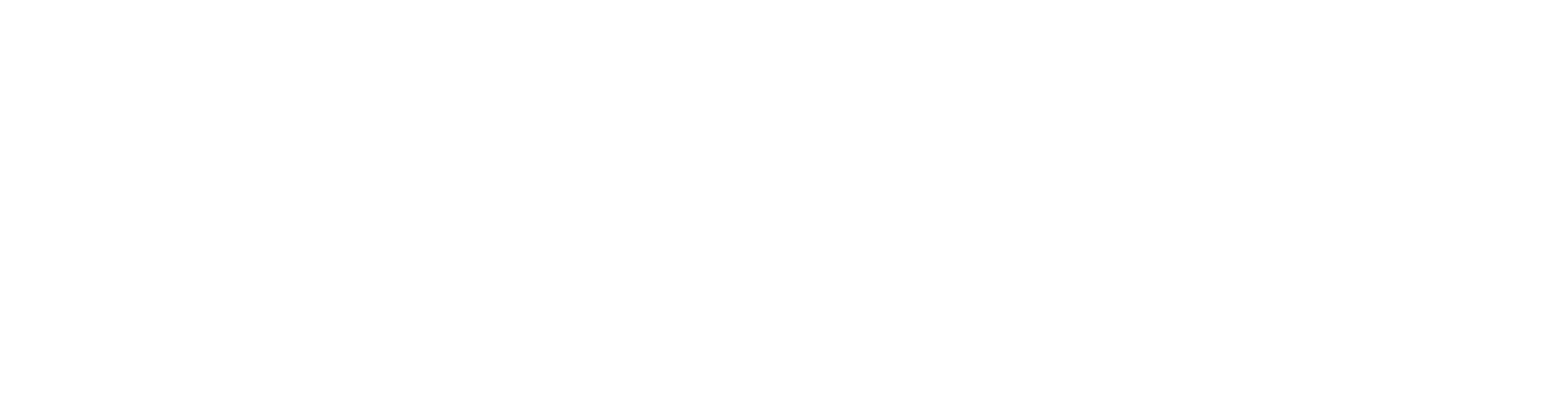 White logo - no background